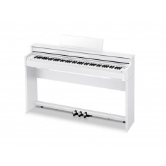 Casio AP S450 WE blanc mat