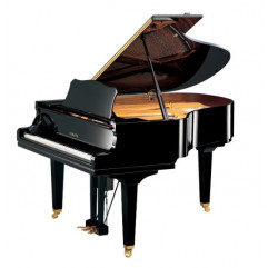 Yamaha GC2 Disklavier Enspire ST