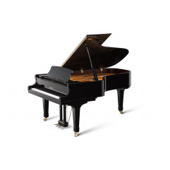 Kawai GX6