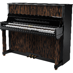 PLEYEL P124 NOIR ET MACASSAR