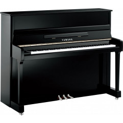 Yamaha P116 Noir brillant édition argent