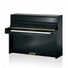 C. BECHSTEIN MILLENIUM 116 K