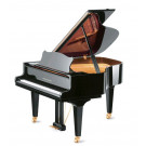 Grotrian Steinweg Chambre 165