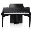 Kawai Novus NV10 S