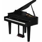 Roland GP-6 PE Noir brillant