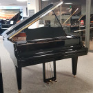 SCHIMMEL 174 T OCCASION