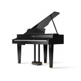 Roland GP607 PE