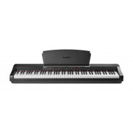 Alesis Prestige Artist