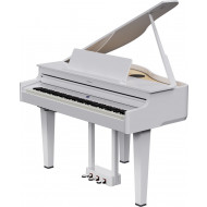 Roland GP-6 PW Blanc brillant