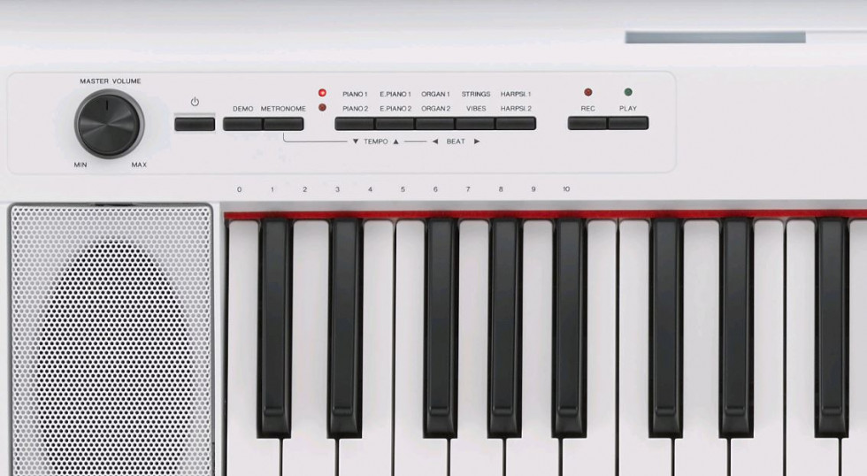 Clavier Yamaha Piaggero NP 12 blanc - Dorélami